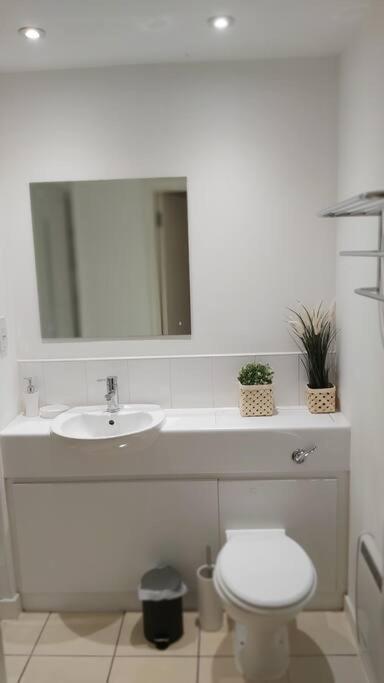 Piquancy Apartments - Sheffield City Centre Luaran gambar